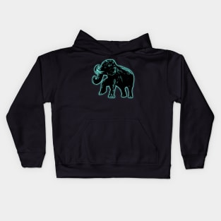 Elephant Light4 Kids Hoodie